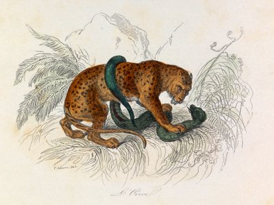 Illustration from the book 