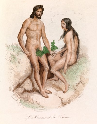 Illustration from the Book 