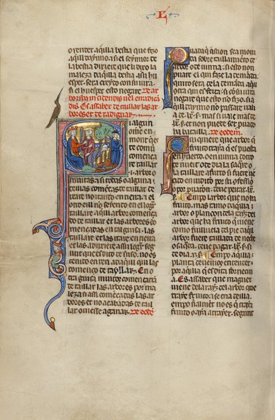 Initial S: A King and a Man Pointing to Two Others Chopping Trees by Unknown artist