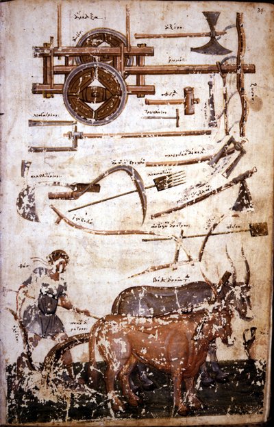 Instruments for working the field and a man plowing - in 