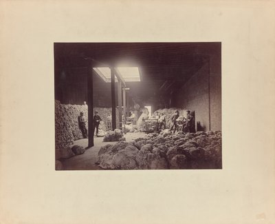 Interior of Wool Sorting House, Walter Brown and Company by Unknown artist