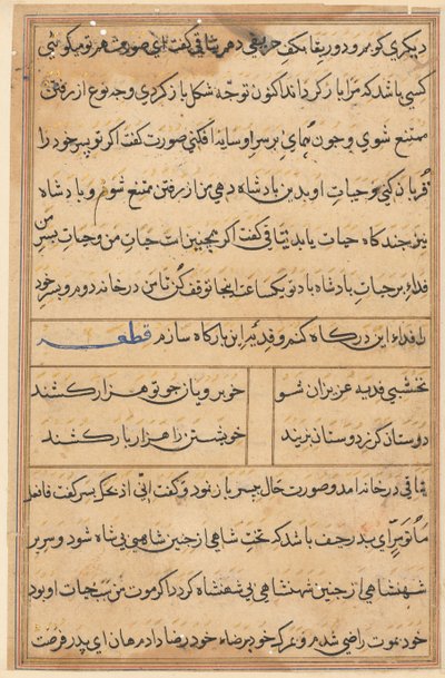 Page from Tales of a Parrot (Tuti-nama): text page by Unknown artist