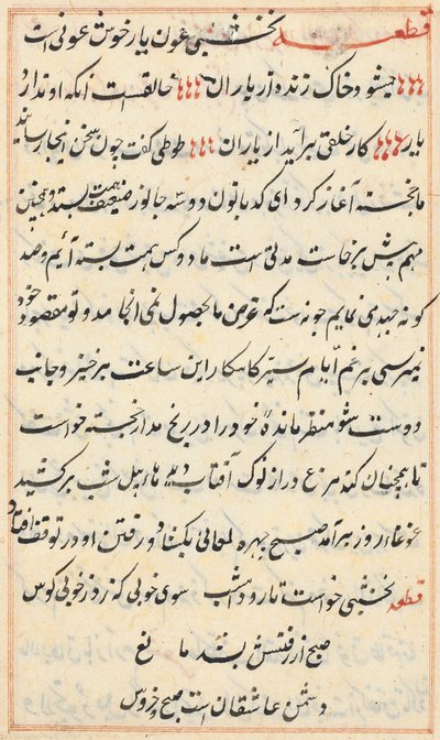 Page from Tales of a Parrot (Tuti-nama): text page by Unknown artist