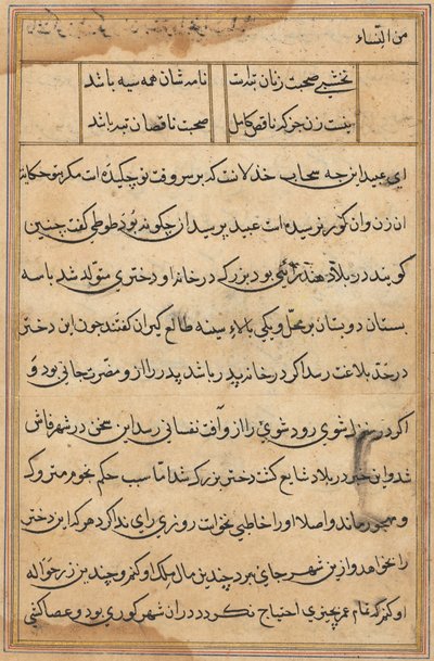 Page from Tales of a Parrot: text page by Unknown artist