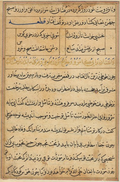 Page from Tales of a Parrot (Tuti-nama): text page by Unknown artist