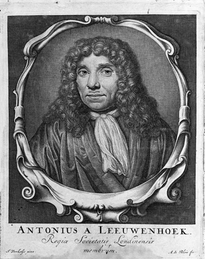 Portrait of the Dutch trader and scholar Antoine van Leeuwenhoek (1632-1723). Engraving from Investigatio Arcanorum 1722 by Unknown artist