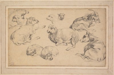 Sheet of Studies with Sheep, Goats, and Dogs by Unknown artist