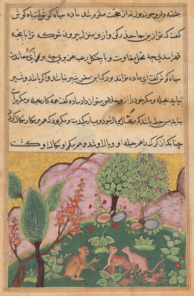 The monkey, serving as the lion’s chamberlain, converses with the lynx and its mate who have arrived with their cubs to settle in the lion’s domain (Tales of a Parrot: Twenty-ninth Night) by Unknown artist
