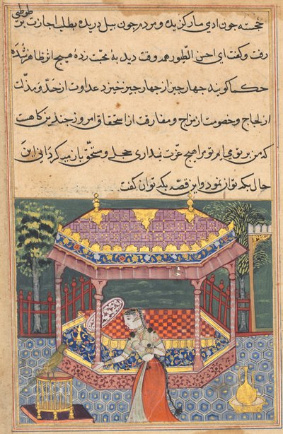 The parrot addresses Khujasta at the beginning of the thirty-seventh night, from a Tuti-nama (Tales of a Parrot) by Unknown artist