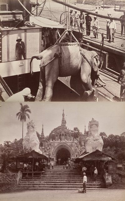 Untitled: (elephant being loaded onto a ship); (steps and building) by Unknown artist