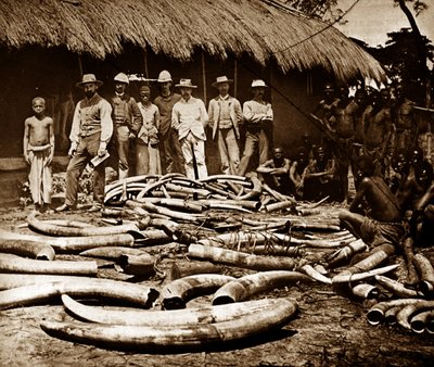 Belgian Colonial Ivory Hunting by Unknown photographer
