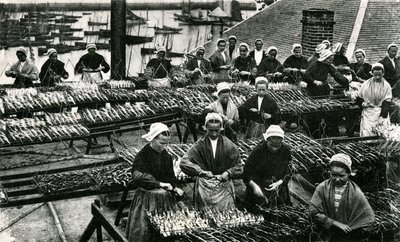Sardine Industry, Finistère, Brittany by Unknown photographer