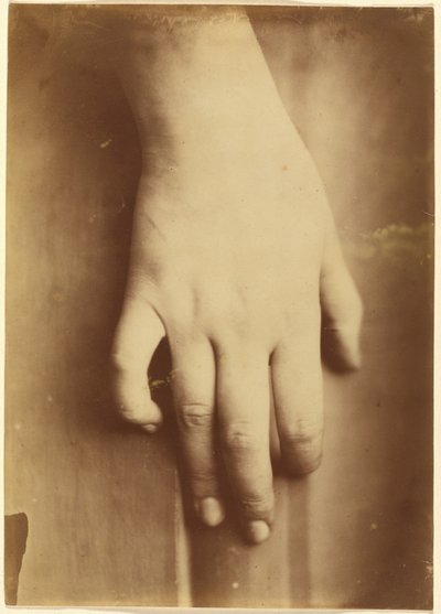 Study of a Hand, 1865 by Unknown photographer