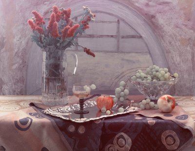 Vintage Fruit and Flowers by UstinaGreen