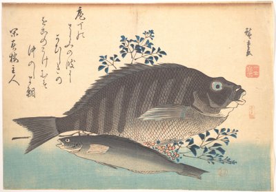 Shimadai and Ainame Fish, from the series Every Variety of Fish by Utagawa Hiroshige