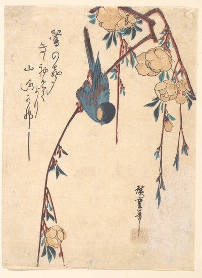 Weeping Cherry by Utagawa Hiroshige