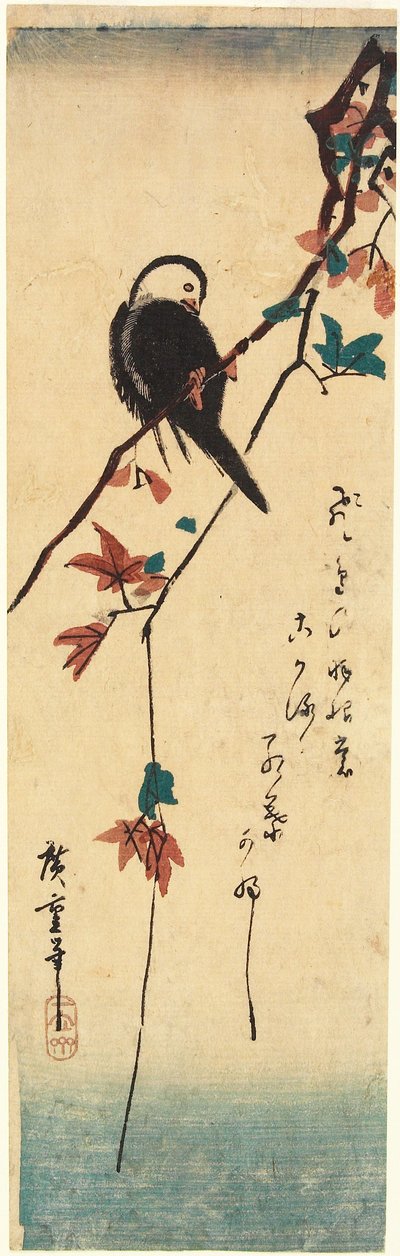 White-headed Bird on Maple Branch by Utagawa Hiroshige