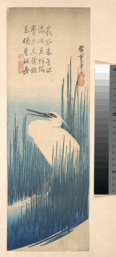 White Heron Standing among Reeds by Utagawa Hiroshige