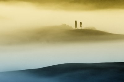 Misty Golden Hills by Vanja Tajnsek