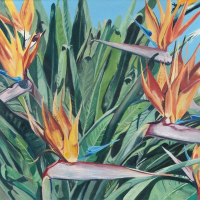 Bird Of Paradise Blooms by Viccy Wanliss