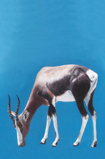 Blesbok Grazing Blue by Viccy Wanliss