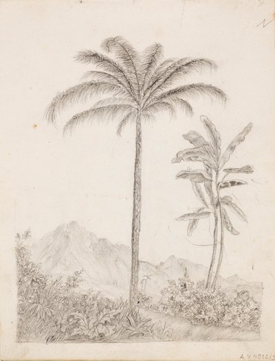 Palm Trees by Victoria Åberg