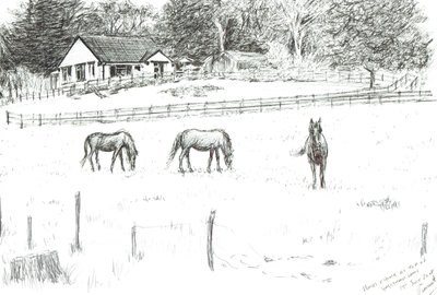 Horses at top of lane by Vincent Alexander Booth
