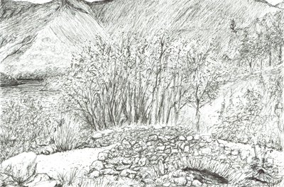 Old stone bridge in the lake district, 2005 by Vincent Alexander Booth