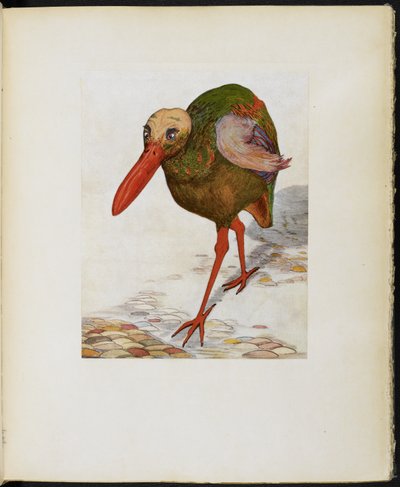Great Skull-Headed Stone Trot, from 