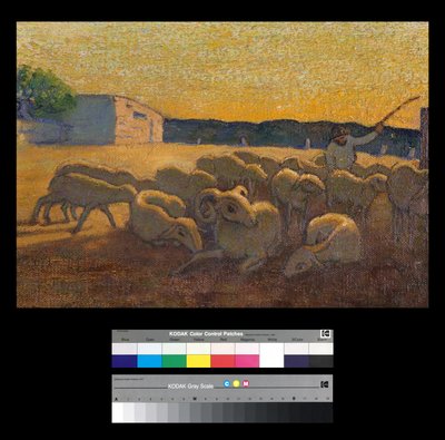 Sunset with Sheep by Vittorio Bolaffio