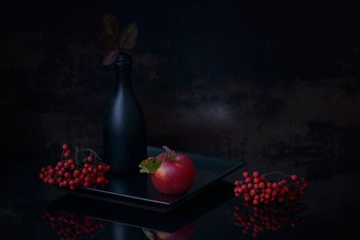 Dark Autumn Still Life by Vladimir Pavlovskyy