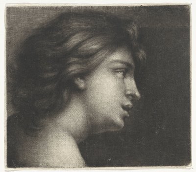 Head of a Young Woman by Wallerant Vaillant
