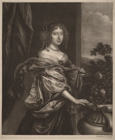 Portrait of a Lady beside a Rose Bush by Wallerant Vaillant
