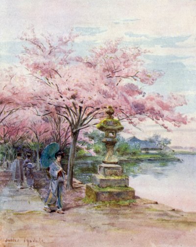 Cherry Blossom and Stone Lantern, Ueno Park by Walter Frederick Roofe Tyndale