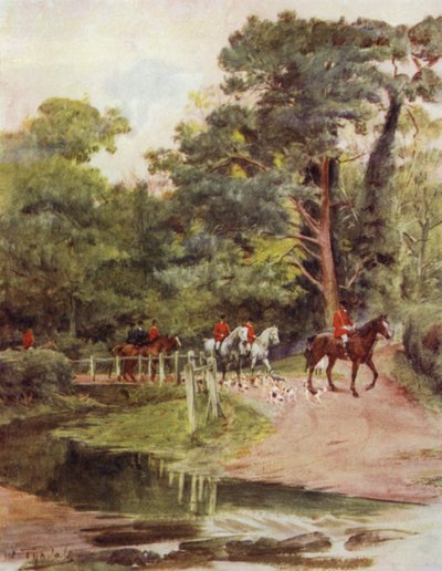 The New Forest: Minstead Brook by Walter Frederick Roofe Tyndale