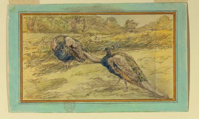 Two Peacocks in a Landscape by Walter Shirlaw