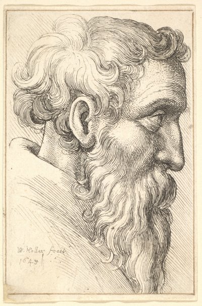 Bearded Old Man in Profile to Right by Wenceslaus Hollar