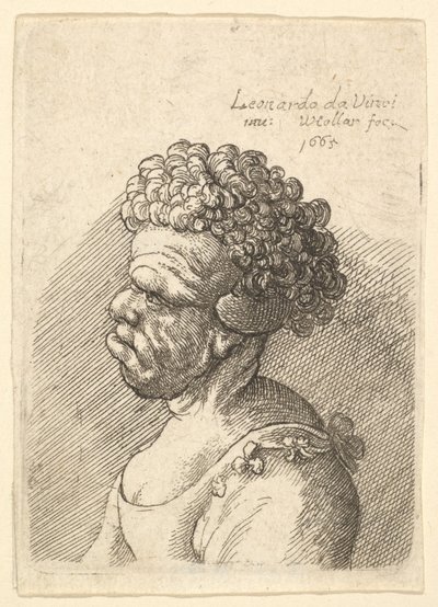 Bust of a Deformed Woman with Curly Hair in Profile to the Left by Wenceslaus Hollar