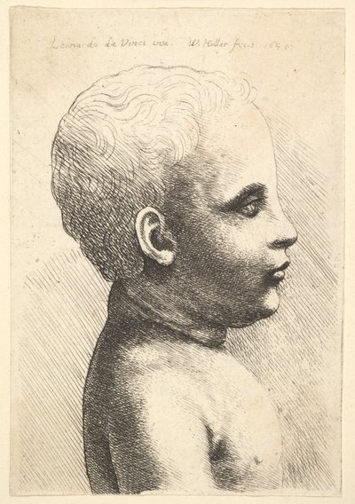 Head and shoulder of a child, in profile to right, 1645 by Wenceslaus Hollar