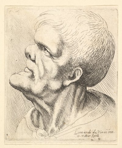 Head of a Man with Protruding Chin and Snub Nose Looking Upwards in Profile to Left by Wenceslaus Hollar