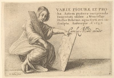 Various Figures and Proofs by Wenceslaus Hollar