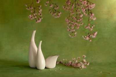 Cherry Blossom Vases by Wendy Xu