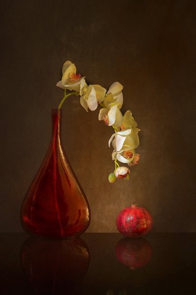Moody Orchid and Pomegranate by Wendy Xu