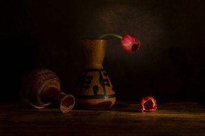 Moody Tulip Still Life by Wendy Xu