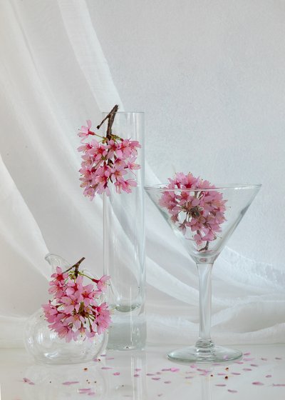 Spring Blossom Still Life by Wendy Xu