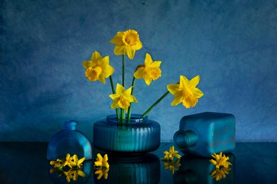 Yellow Daffodils Blue Vases by Wendy Xu