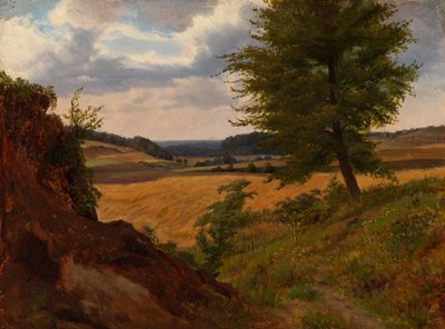 Tree in Field Landscape, Study by Werner Holmberg
