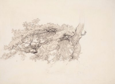 Untitled by Werner Holmberg