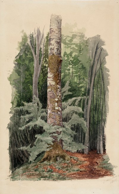 Untitled by Werner Holmberg