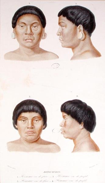 Anthropometric study of two Botocudos indians by Werner Werner